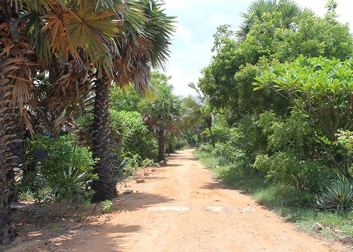 Access-roads-within-the-property