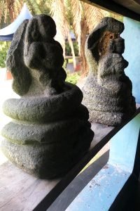 The-Nagalingas-that-adorn-the-restaurant